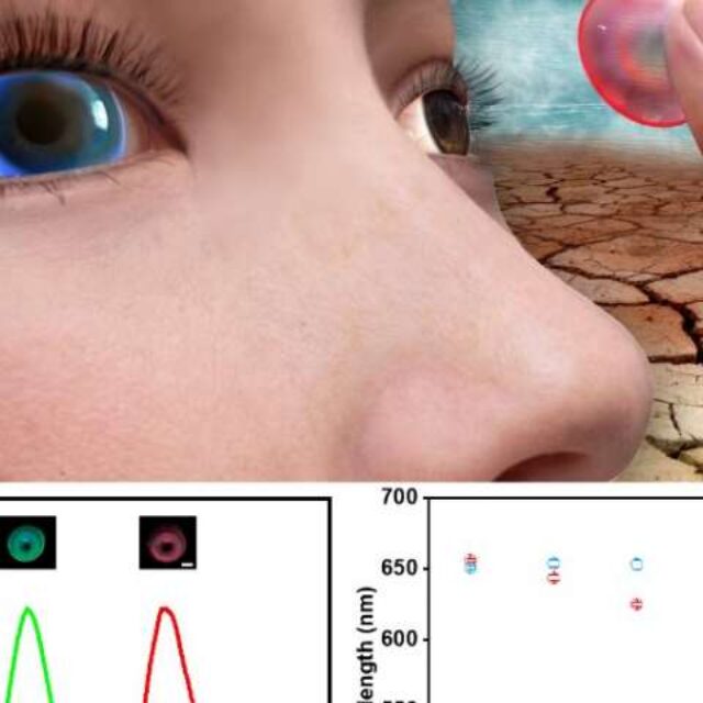Розумні контактні лінзи для діагностики ксерофтальмії та глаукоми