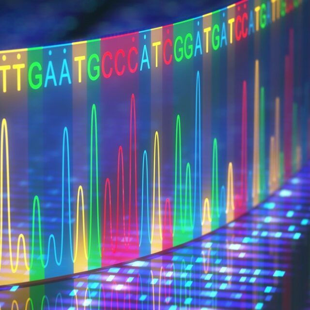 Знайдені нові генетичні фактори, які впливають на розвиток міопії