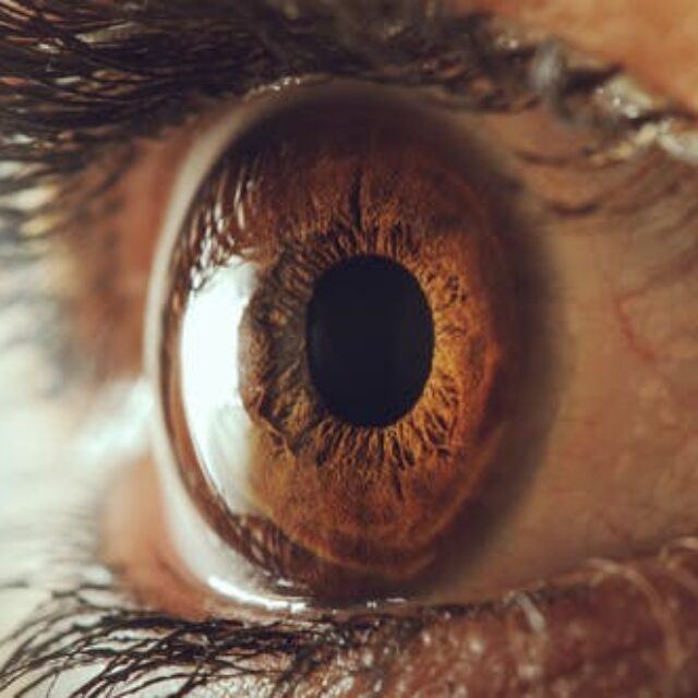 Характеристика структурних змін рогівки під час її розвитку у дітей