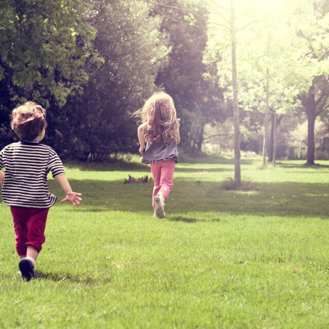 Більша кількість зелених насаджень на території шкіл знижує ризики розвитку міопії