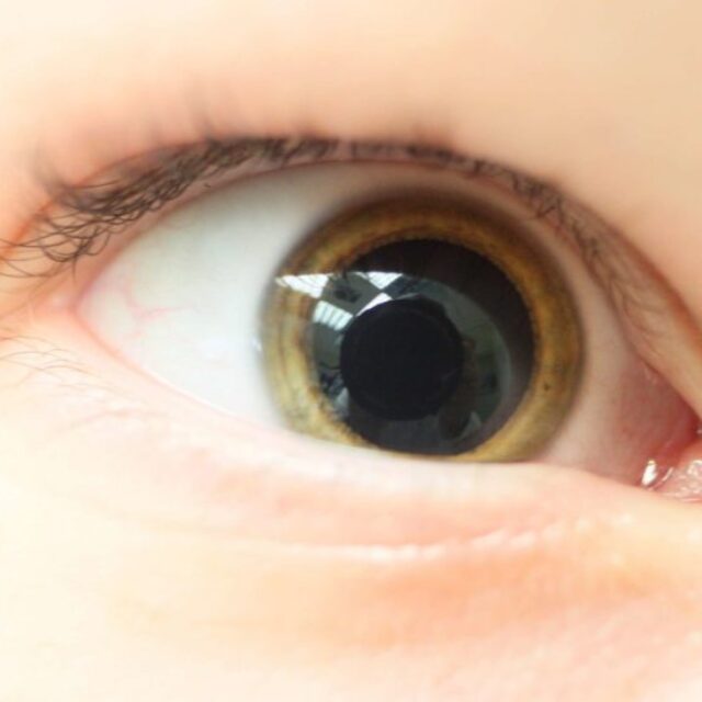 Більше ніж детектори світла: спонтанна реакція зіниць на кількість предметів