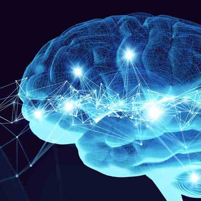 Довгострокові ураження функцій зорової кори та обмеження нейропластичності нашого мозку